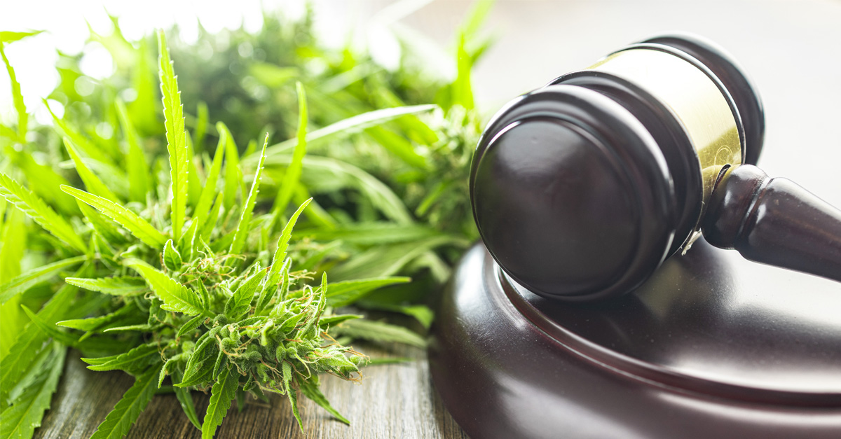 cannabis-ballot.jpg