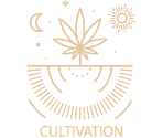 Cultivation