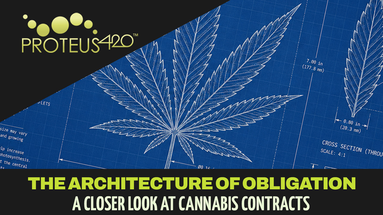 The Architecture of Obligation